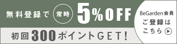 敏感肌 乾燥肌 保湿 泡洗顔フォーム オールバイドット All By Youtuberゆっきーだっぺの民の村長プロデュース 本店 Begarden ビーガーデン